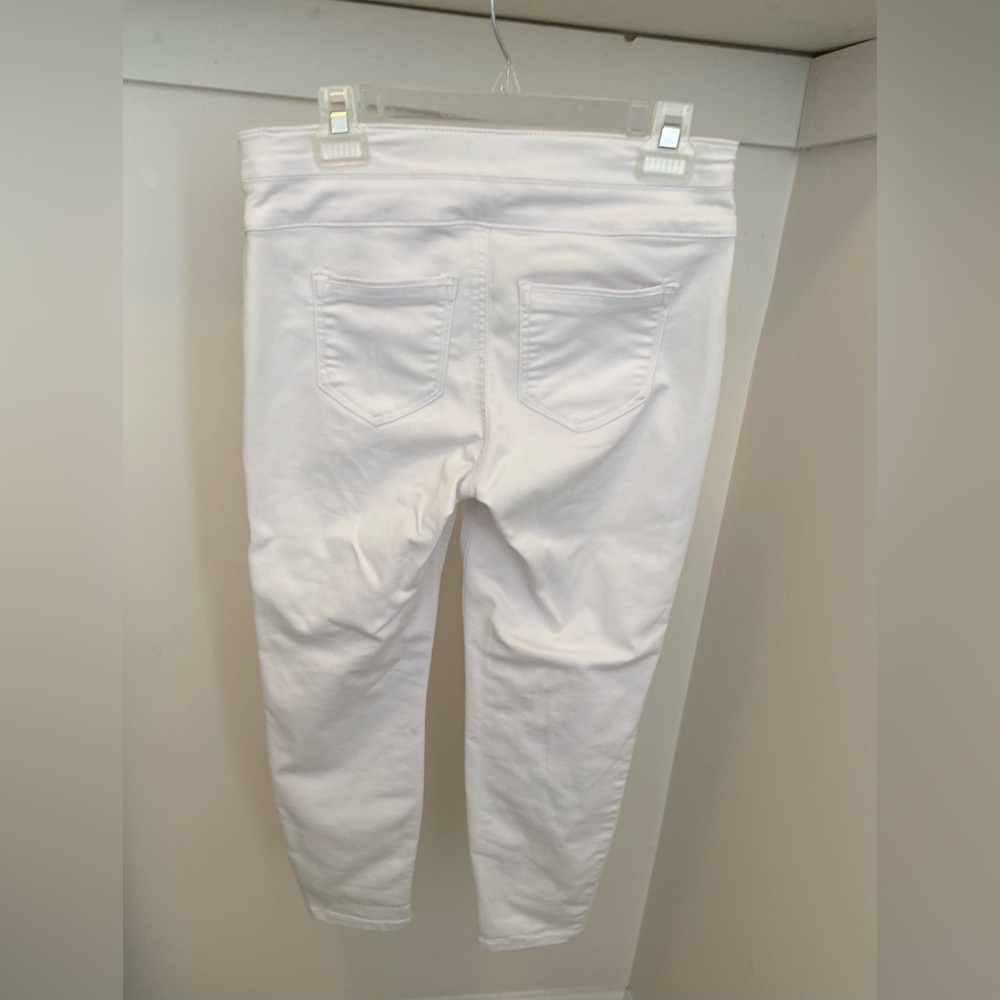 Style & Co. Petite Jeans